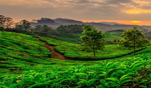 Munnar